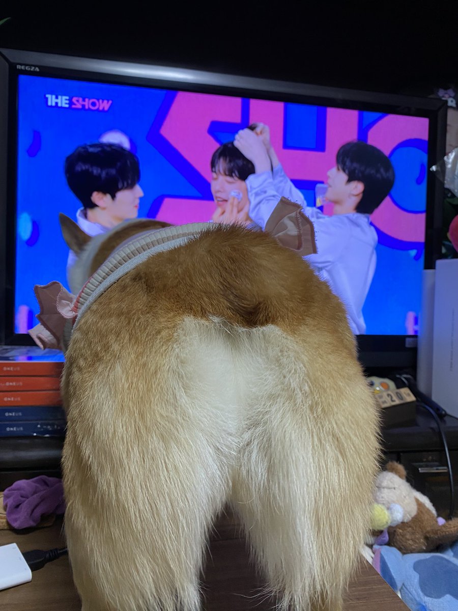 Stitch555Love's tweet photo. わぁーい❣️:.* ♡ゎー\(°´˘`°)/ーぃ♡ *.:
ONEUS🌏✨💫おめでとう🏆✨🏆✨🏆✨🏆✨🎉🎉🎉💗💗💗💗💗💗💗💗💗💗💗💗💗💗💗💗💗💗💗💗💗💗💗💗💗💗💗💗💗💗🐶💖
#ONEUS #ONEUS4thwin https://t.co/kaRJlbOshu