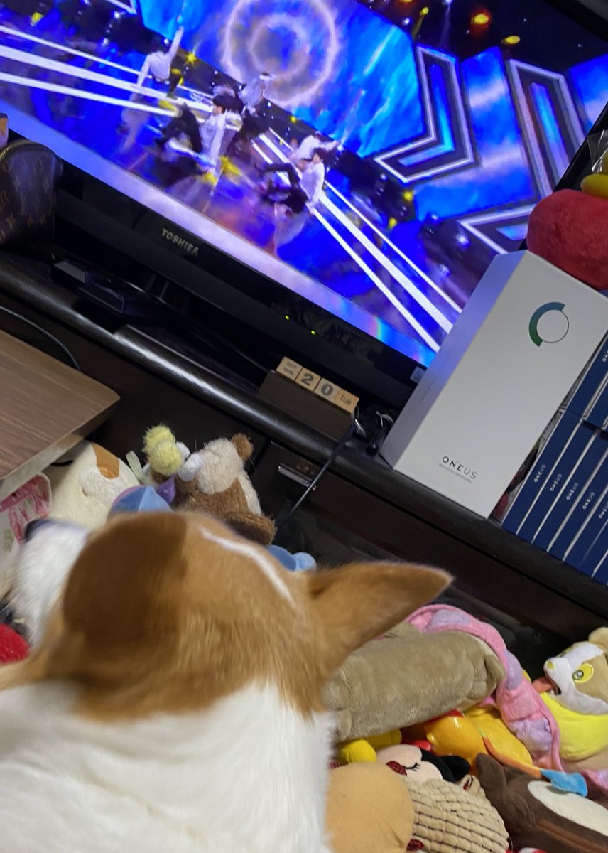 Stitch555Love's tweet photo. わぁーい❣️:.* ♡ゎー\(°´˘`°)/ーぃ♡ *.:
ONEUS🌏✨💫おめでとう🏆✨🏆✨🏆✨🏆✨🎉🎉🎉💗💗💗💗💗💗💗💗💗💗💗💗💗💗💗💗💗💗💗💗💗💗💗💗💗💗💗💗💗💗🐶💖
#ONEUS #ONEUS4thwin https://t.co/kaRJlbOshu