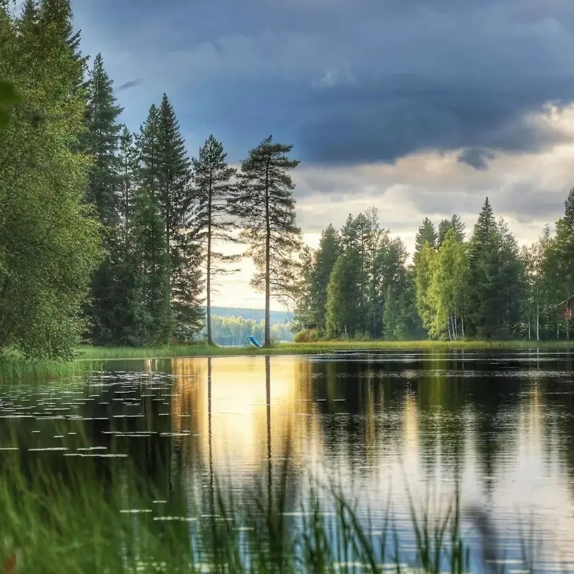 RReissland's tweet photo. Finnland
#Finnland #suom #Autumn #love 
#photo #wood #sea #beautiful https://t.co/HPlAmWmrPo