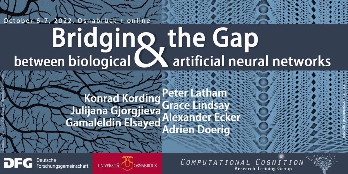 Workshop in Osnabrück on October 5-6 &amp; via livestream:

We gonna discuss how neurons and artificial neural networks transmit information; what advantages and disadvantages biological and artificial networks have; to what extent needs AI to be biologically plausible; etc...