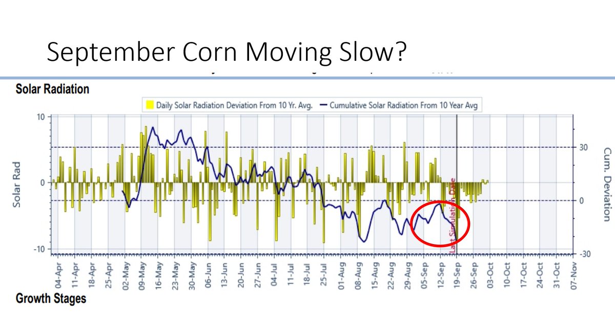 The Hermanator! (Paul Hermans) tweet media