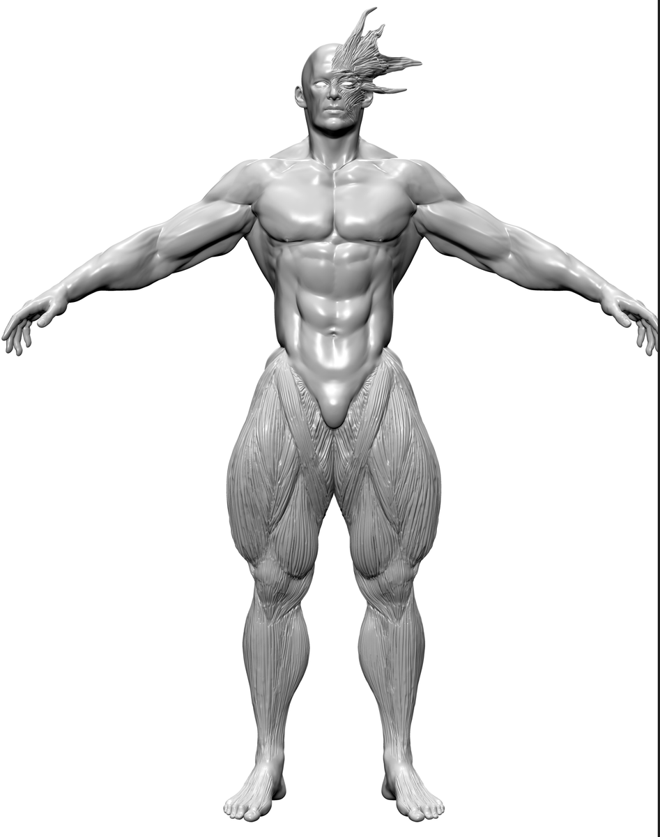 リリーメン2話目より
足ムキムキ殖魔(サキュバス)
購入したマッチョの3DモデルにZbrushで筋繊維を彫刻しています
モデルが豊富に揃っているのが3Dの強みですね:)
#リリーメン
https://t.co/GjARIUeBgX