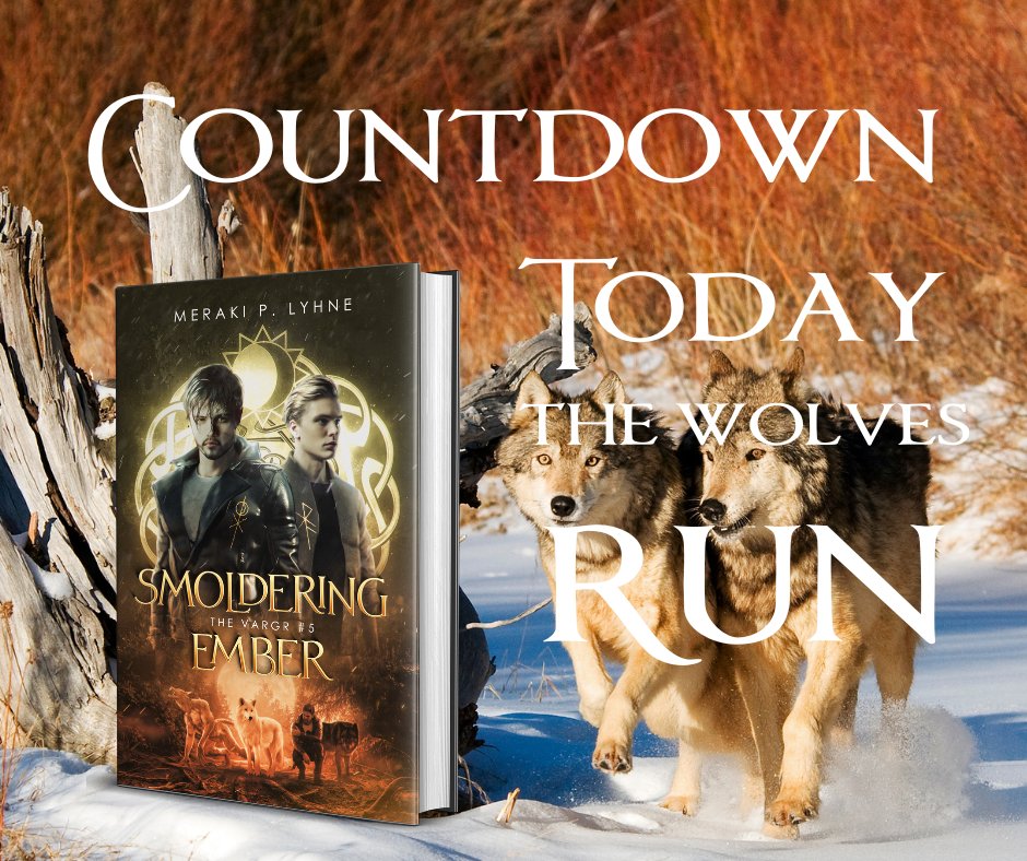 Meraki P. Lyhne tweet media