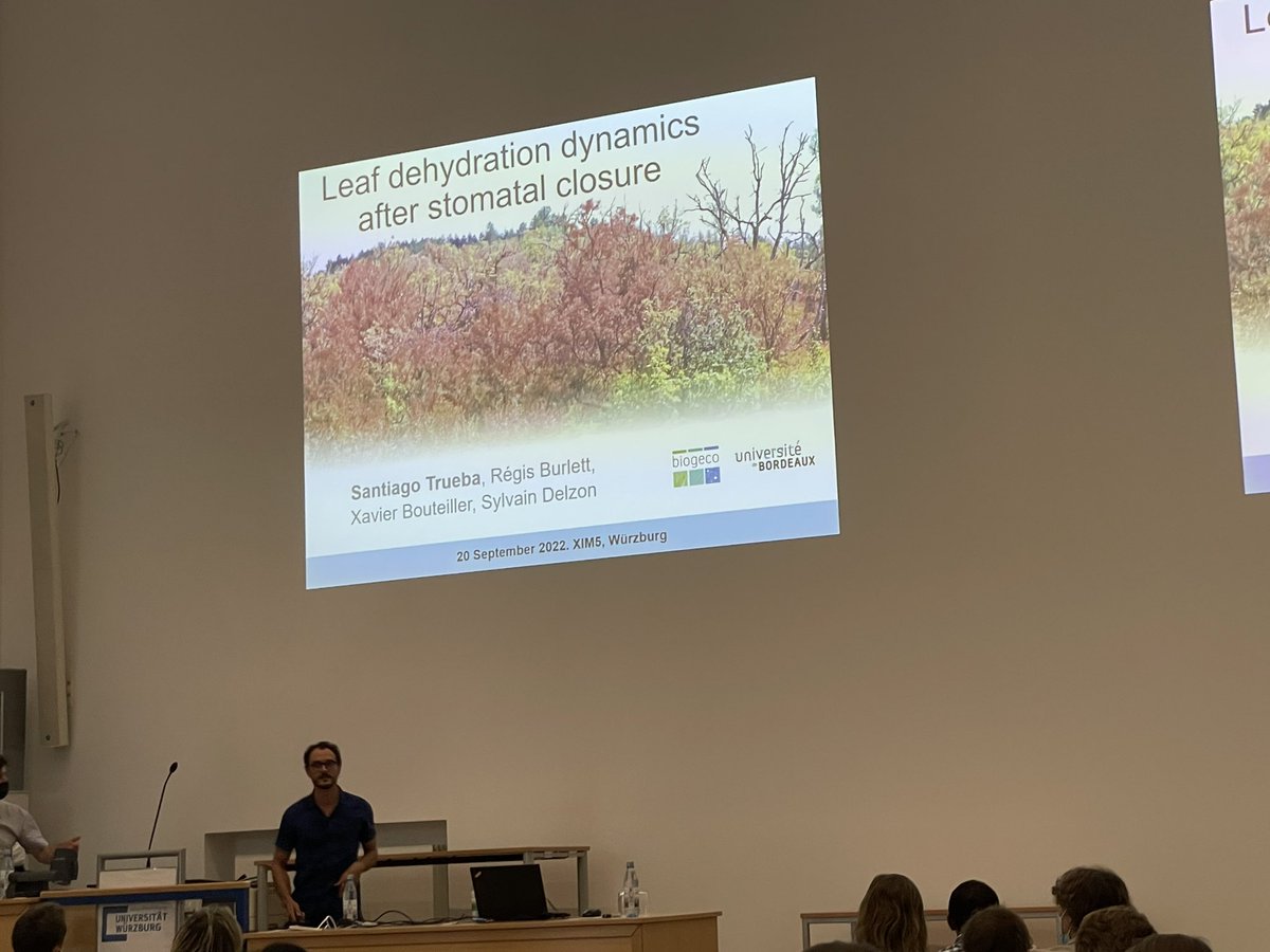 Xylem_Meeting's tweet photo. Now, Santiago Trueba @strueba_ is sharing “Leaf dehydration dynamics after stomatal closure, from non-vascular plants to angiosperms” https://t.co/eQ5IJs95s5