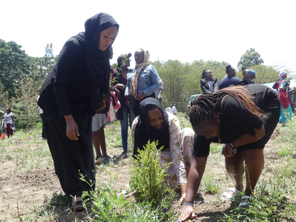 MOHA_made_'s tweet photo. Ongoing community peacebuilding forum and tree planting in Nanyuki; Organized by @irck_info & @NSCpeace to enhance the role of the youth and the religious leaders in the maintenance & promotion of peace & security.
#EndDescrimination #InternationalPeaceDay https://t.co/I2mQTqtajc