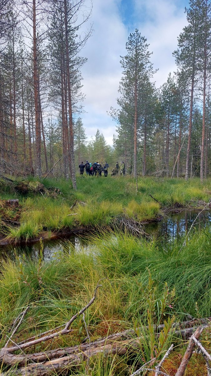 riinahautala's tweet photo. Syksy on tarjonnut kivoja mahdollisuuksia metsäviestijälle jalkautua tekemään viestintää sinne itseensä, eli metsään 🌲🍂 Tapion metsäntuntijaporukalla olemme suunnanneet mm. Ouluun, Pudasjärvelle ja Karjaalle #Etämaasto-, #TurVI- ja #Sorkka-hankkeiden tiimoilta. #viestintä https://t.co/fQBtKj4HhD