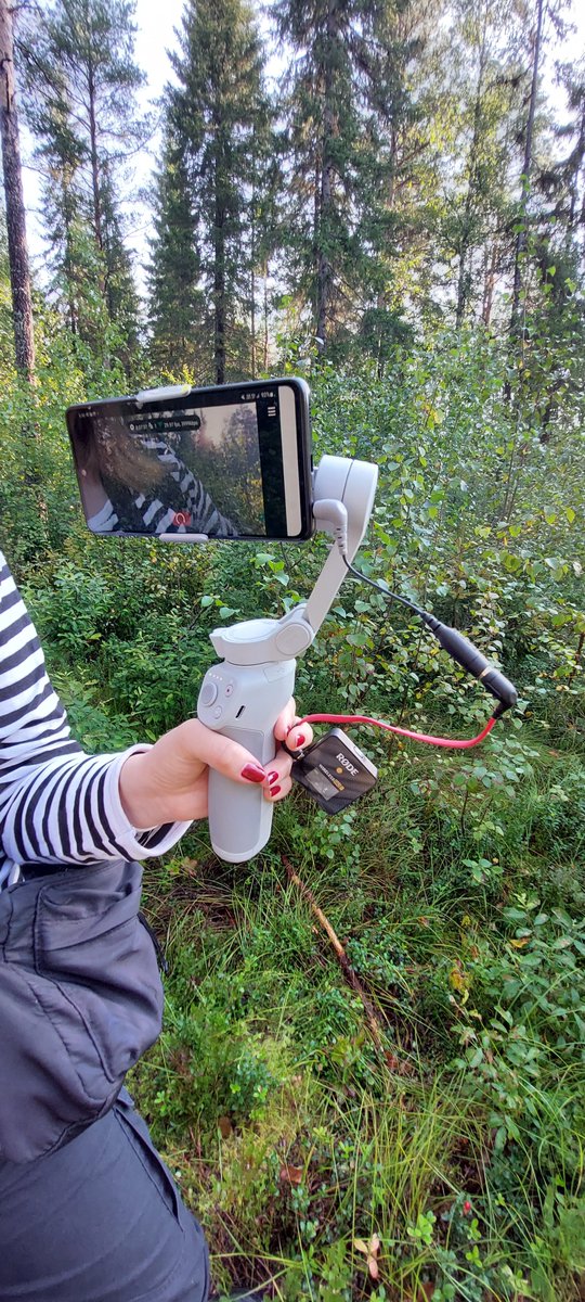 riinahautala's tweet photo. Syksy on tarjonnut kivoja mahdollisuuksia metsäviestijälle jalkautua tekemään viestintää sinne itseensä, eli metsään 🌲🍂 Tapion metsäntuntijaporukalla olemme suunnanneet mm. Ouluun, Pudasjärvelle ja Karjaalle #Etämaasto-, #TurVI- ja #Sorkka-hankkeiden tiimoilta. #viestintä https://t.co/fQBtKj4HhD