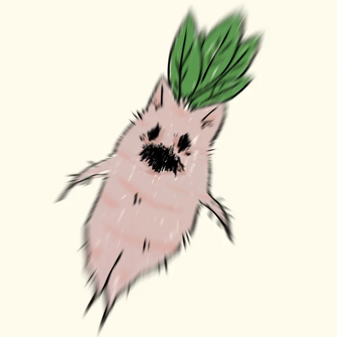マンドラゴラこより#こよりすけっち 