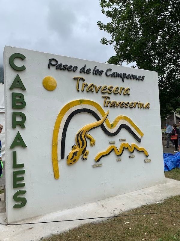 esCabrales tweet media