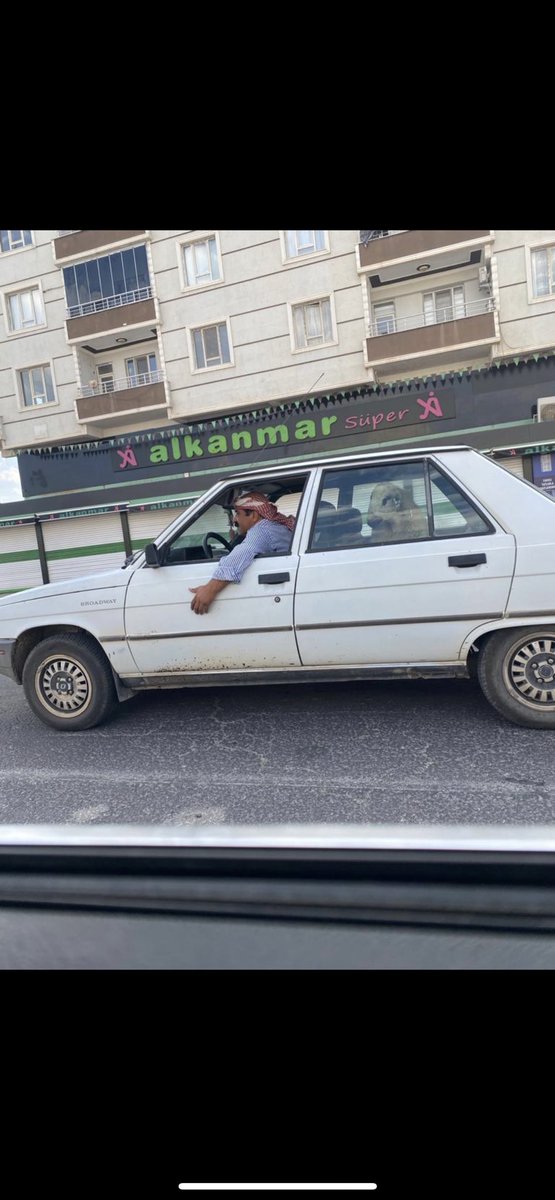 Kaptan hayvan pazarinda inecek var😂