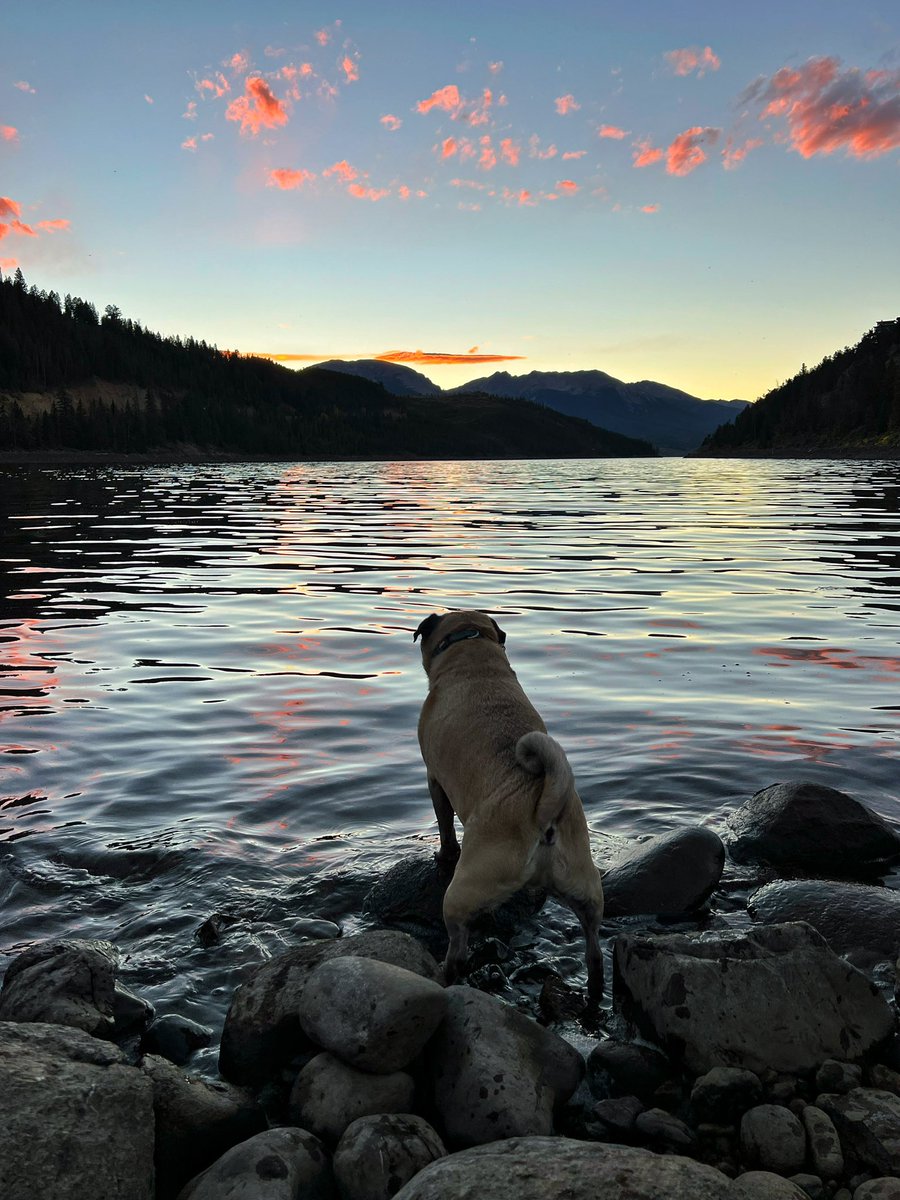 Tonight’s sunset view.  Captain debating on whether or not to jump in and then backing out as usual.

#dillon #colorado