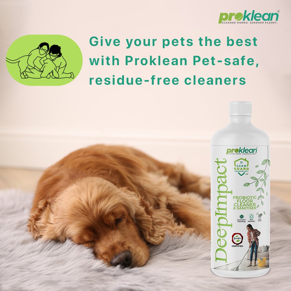 ProkleanT's tweet image. Your companion deserves a home that&apos;s safe for them, at every level.

Proklean cleaners are 100% pet-safe with no allergens or chemicals unsafe for pets. So your furry friends get the very best 🐾

#prokleanhome #prokleangreen #homecleaning #pets #sustainability  #india #trending