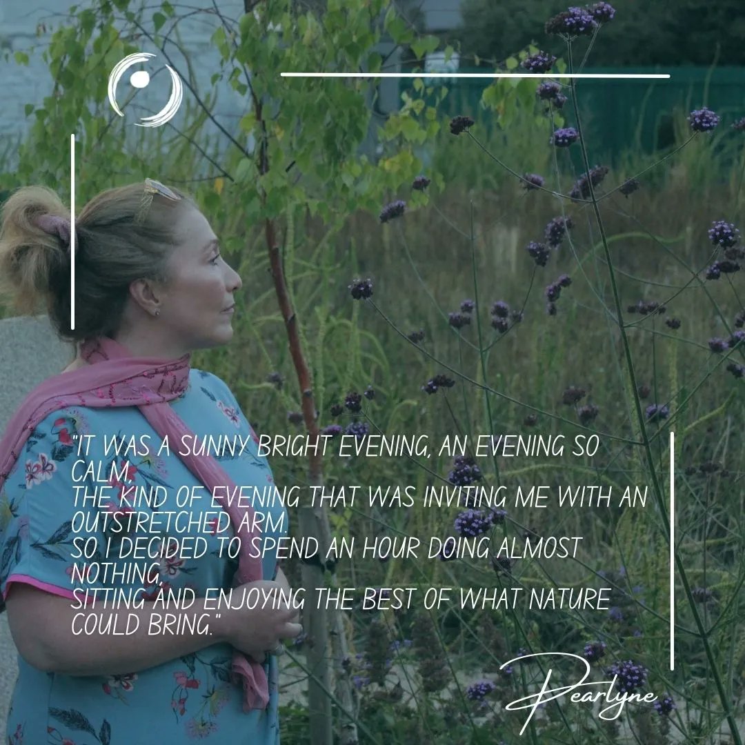 Meditation in the Sanctuary’s garden
How nature and a simple garden can guide us back to a deep, relaxed and meditative state.

#meditation #meditate #sanctuary #garden #nature #relax #calm #mindfulness #selflove #selfcare #evening #sun #bright