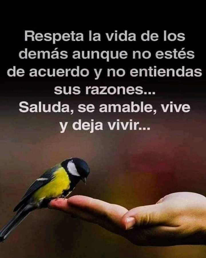 VidaEquilibrada (@vidaequilibrad4) on Twitter photo 