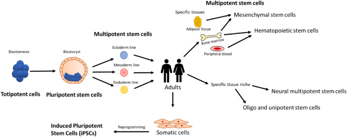 CiofaniGianni's tweet photo. Nanotechnology and stem cells: Our review on Materials Today Advances

https://t.co/e4MRdlavzZ

@IITalk https://t.co/KTrP5Ry79r