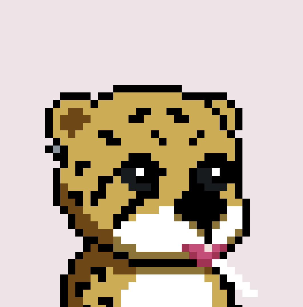 marie10103080's tweet photo. @TheSaudisNFT Mine two of Baby Cheetahs🥰🥰🥰
Love them😍😍😍 https://t.co/H2FQQJfe6j