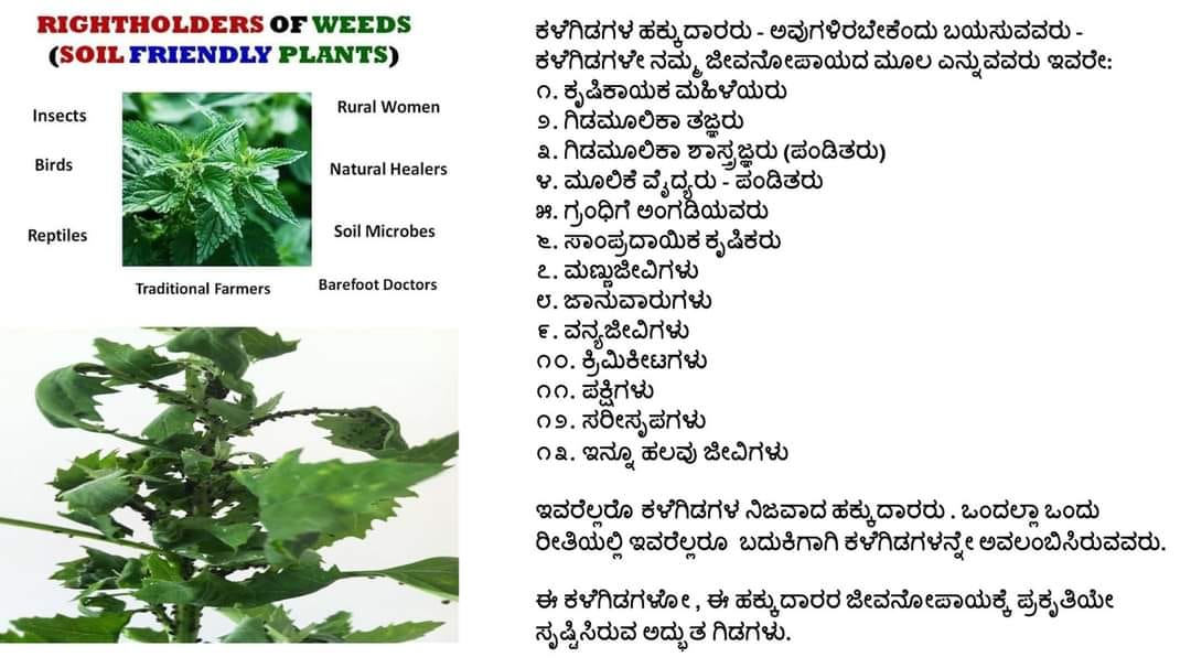 soilvasu's tweet photo. https://t.co/G8huLd1Z80