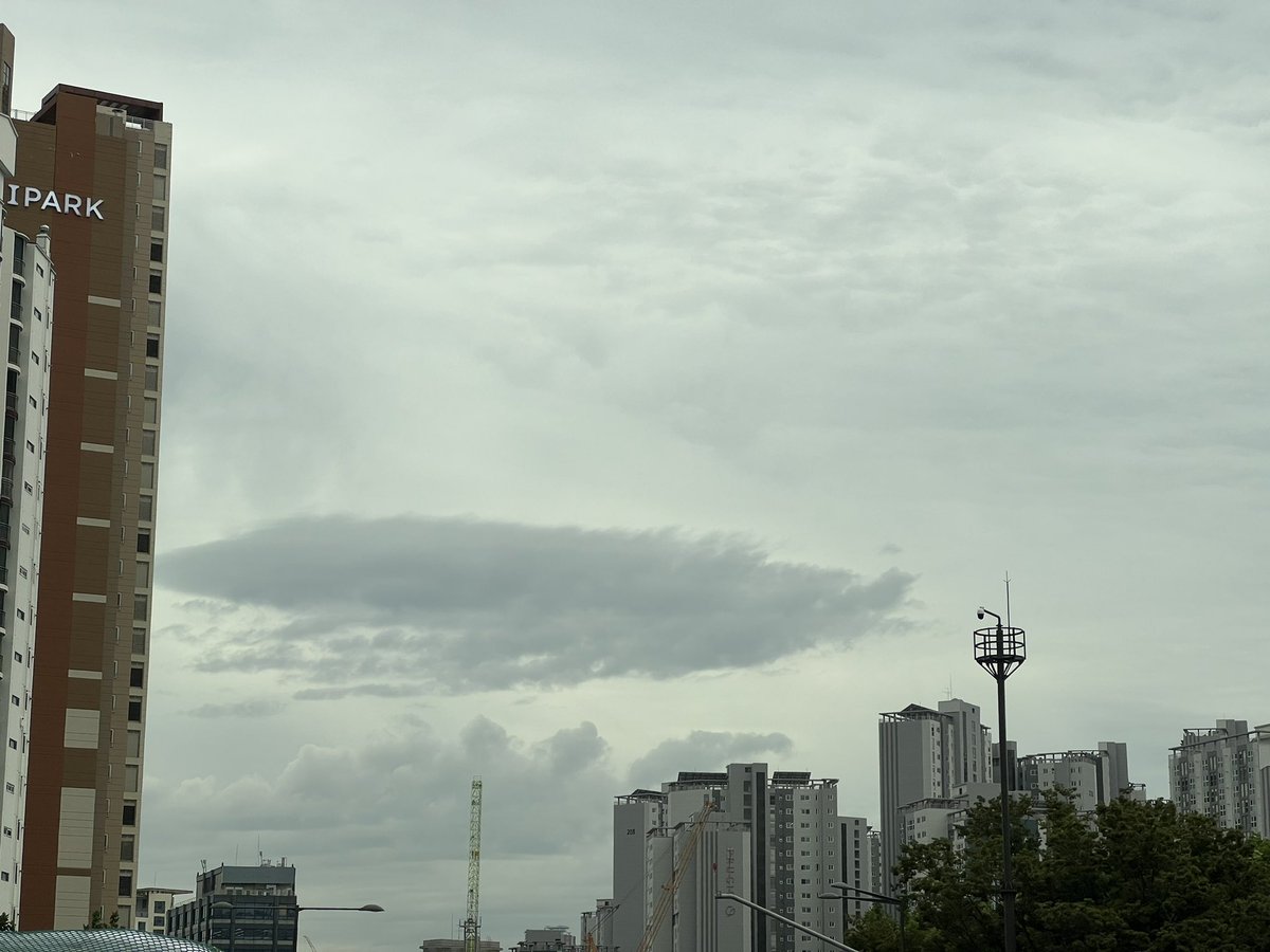 손희정 tweet media