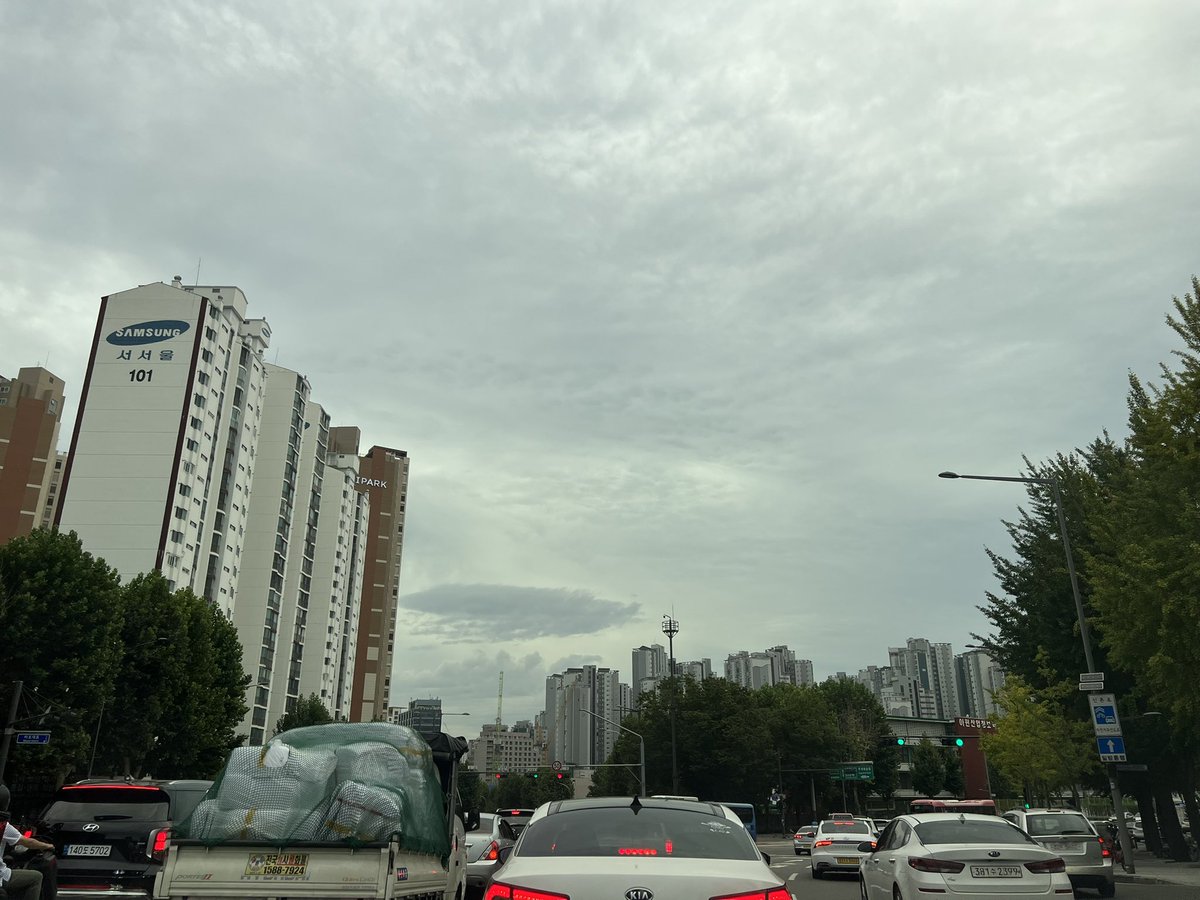 손희정 tweet media