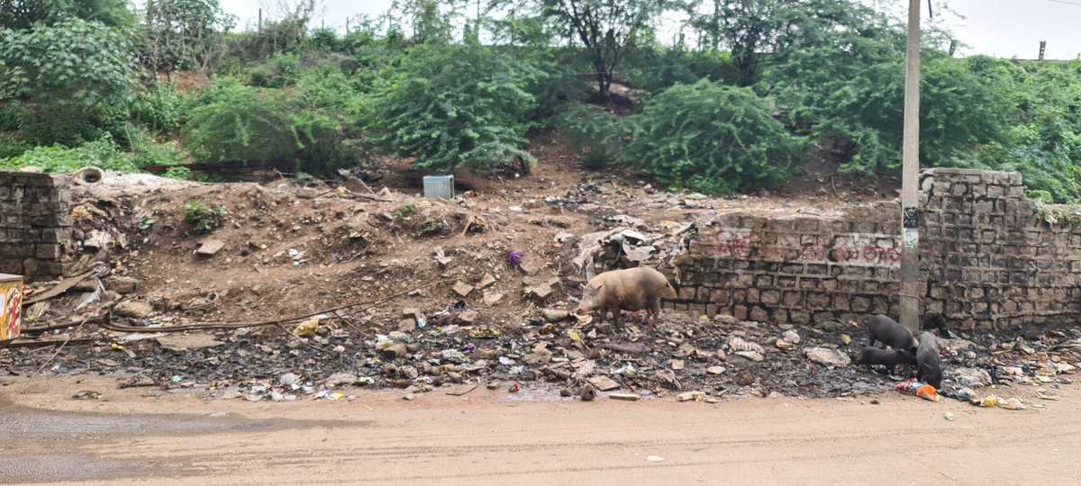 pavanr2345's tweet photo. Sir @KTRTRS,This wall at Fathenagar is broken to clean Nala but it not built for which it has become a garbage dump yard.We residents are facing health issues because of this. I request ur Intervention in building the wall as it is making our lives miserable.@GadwalvijayaTRS https://t.co/tfP91QYpML