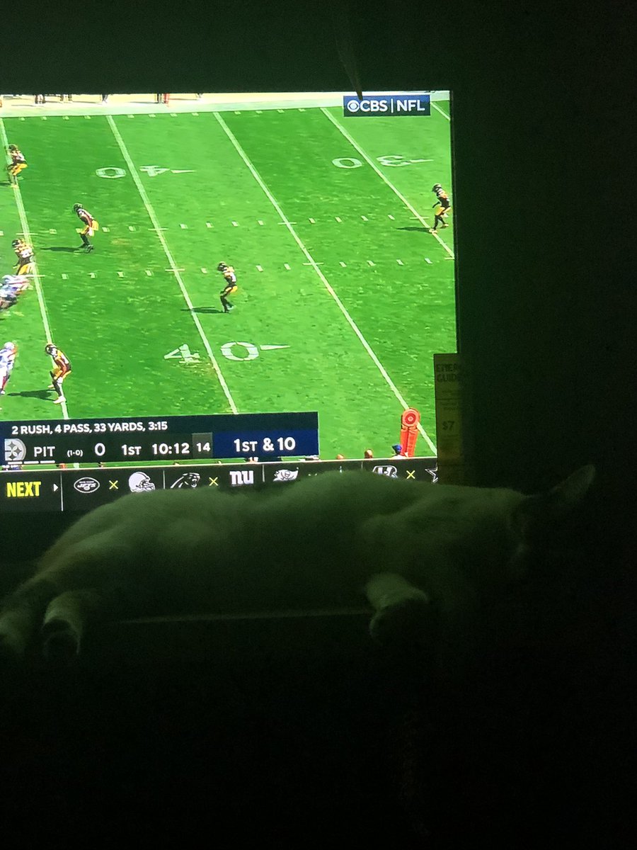 JClazzification's tweet photo. #CatDadLife 🐈 https://t.co/bQes8bU4MA