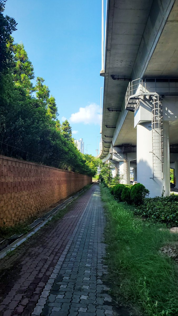 Had a nice little walk break from #7IMDC this morning. There's a lot of this urban nature aesthetic going in Busan.