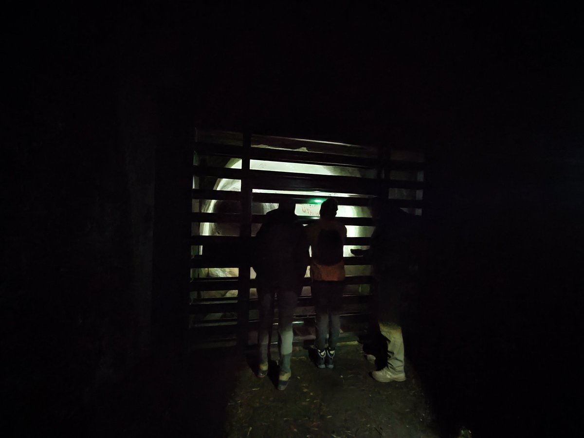 arualentina's tweet photo. Quick visit to #Nietoperek 🦇
Feels odd exploring the site from above the ground... And seeing these bats so awake!
#Natura2000 #BatConservation https://t.co/uMcPPZDv5L