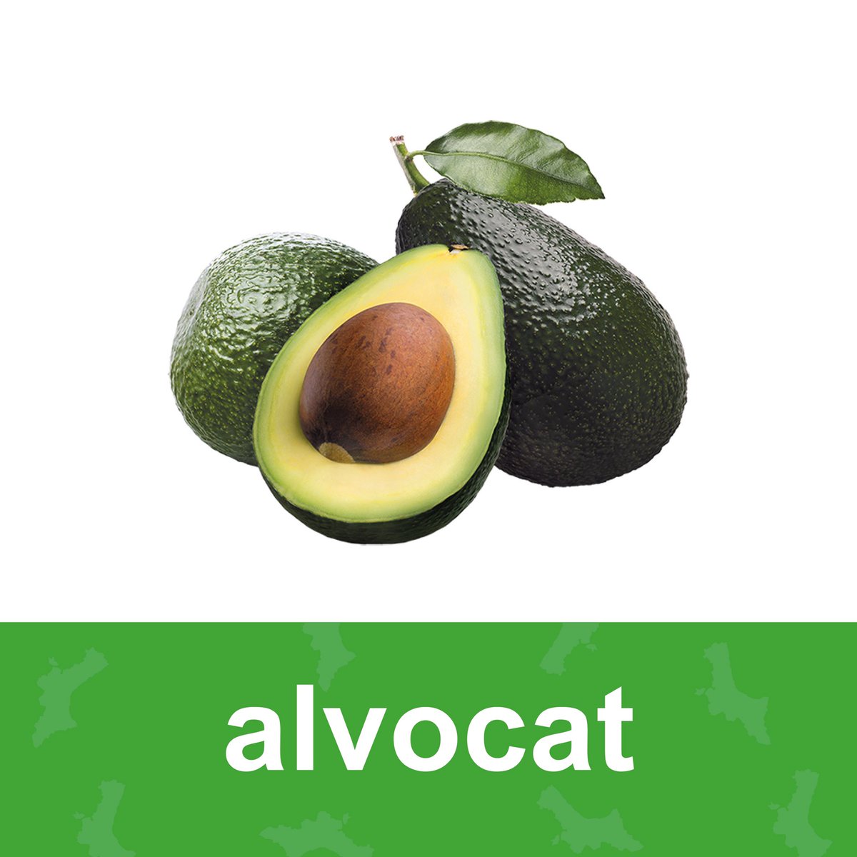 L'alvocat és un fruit comestible en forma de pera, de corfa verda i polpa mantegosa, que té un pinyol gros. 🥑

🇬🇧An avocado is a large, pear-shaped fruit having green to blackish skin and a soft, light green inside that can be eaten.