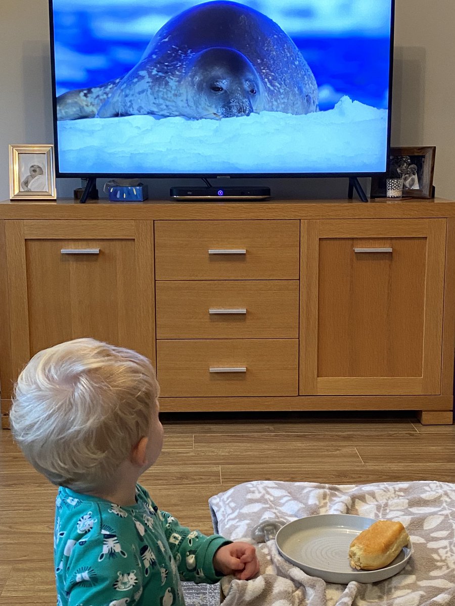 geographyjacks's tweet photo. Tantrums all morning saved by frozen planet. Thank you @BBCOne @AttenboroughSir #seals #whales #21month #toddler #terribletwos https://t.co/EX7USIEKPx