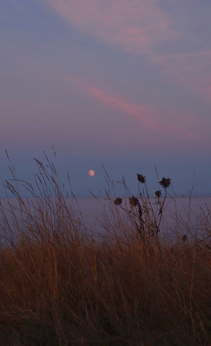 Kysha Kendra (@kywilkzon) on Twitter photo 