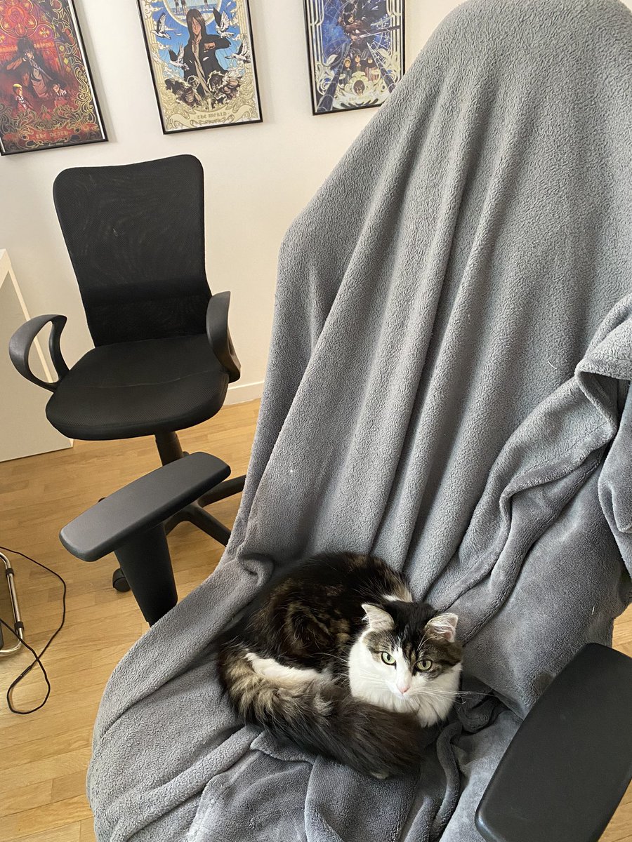 SapinLeChat's tweet photo. 🎮 https://t.co/KRDRopECOT