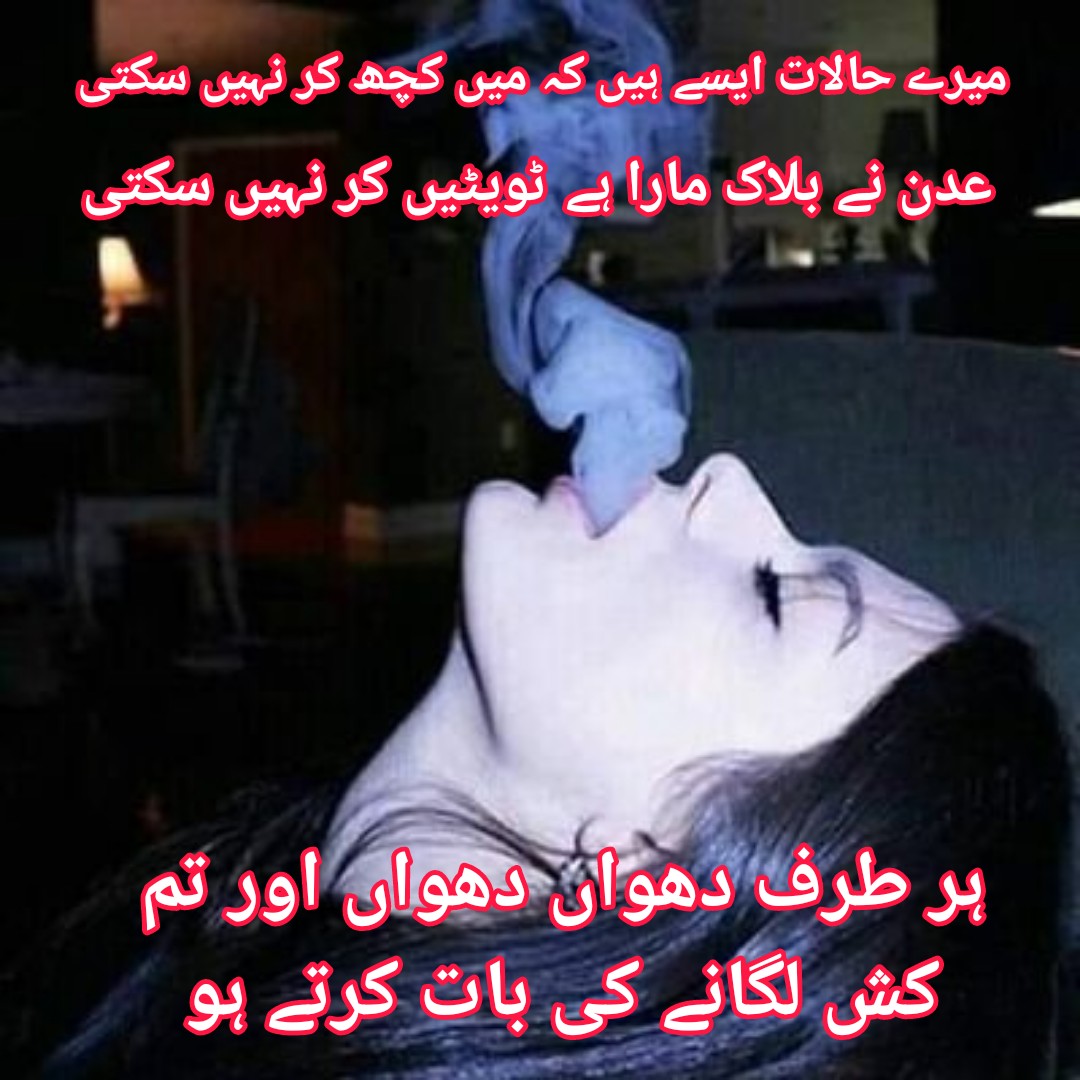عدن شاہ tweet media