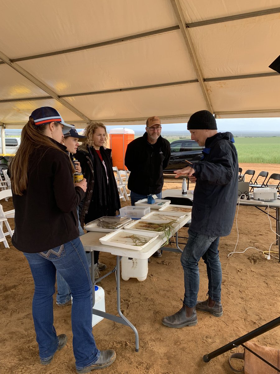 alisonlacey01's tweet photo. @DHuberli presenting on Soilborne diseases @WMG_WA Field Day. Great session with discussion on disease paddock expression, management and breakcrops and WMG Soilborne pathogen demonstration results @DPIRDbroadacre @GGA_WA @theGRDC https://t.co/Cc2uf6mfXE