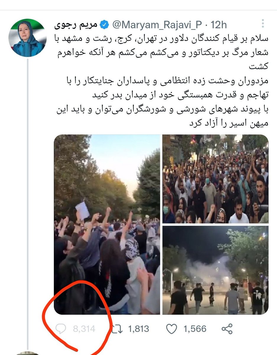 علی نائینی tweet media