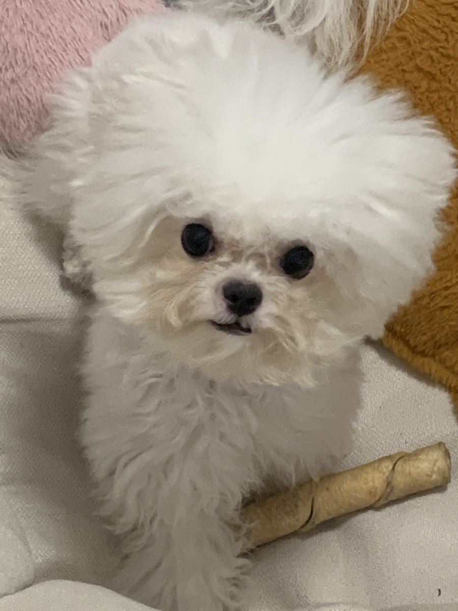 CanwaySnowflake's tweet photo. 今日も頑張ろう https://t.co/T7Itq6zhS7