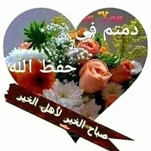 Mohamed Abdelwahed (@mohamed44564162) on Twitter photo 