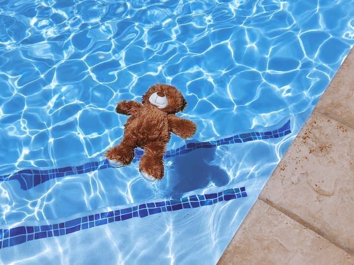 FounderRDF_SA's tweet photo. You wouldn't own a car without seatbelts why own a pool without a fence and net?
Drowning can happen to anyone and is preventable. Never leave your baby / toddler alone in or around water even for a second!
Know how to perform #CPR
#StopDrowning #RDFSA #keepkidssafe #watersafety https://t.co/CfZBLg83Tx