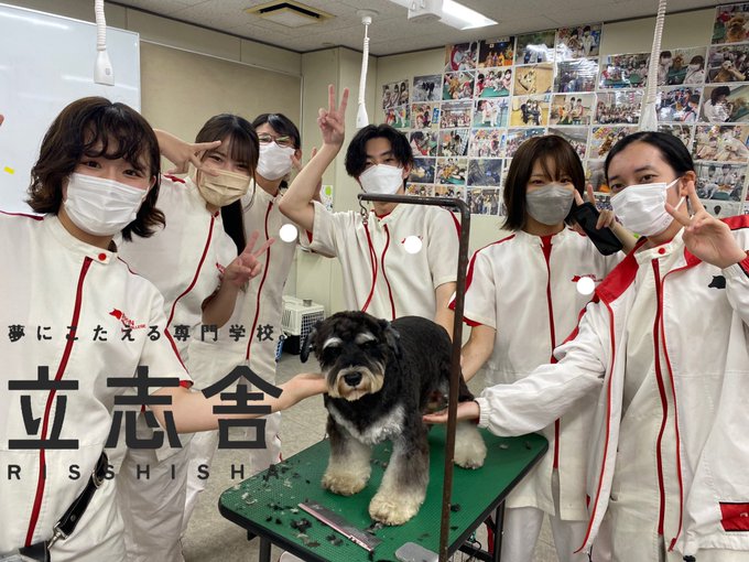 日本動物 東京都杉並区にある動物看護 グルーミング ドッグトレーナー ペットショップ セラピーの専門学校 立志舎