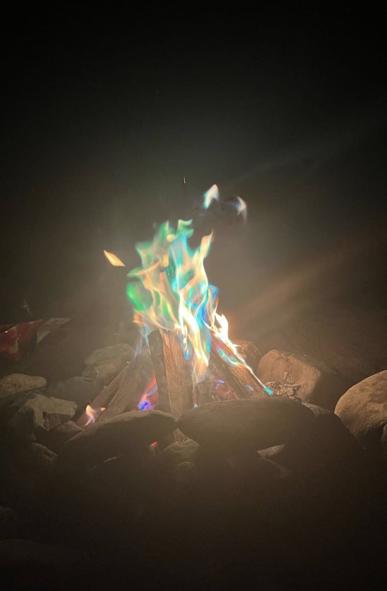 울 디노 사진도 잘 찍고 ~~ 기특허다 넘 예뿌