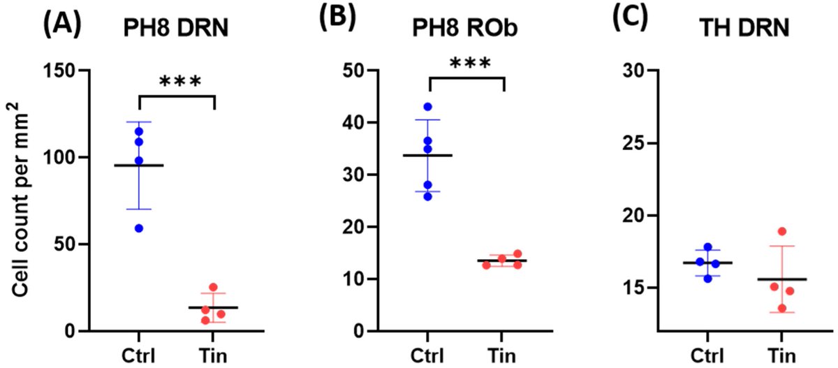 BrainSci_MDPI's tweet photo. #mdpibrainsci Post-Mortem Analysis of Neuropathological Changes in Human Tinnitus
https://t.co/BiB1MGhYoV
@MDPIOpenAccess @MedPharma_MDPI @MDPIBiologySubj
@Scilit_MDPI
#neuroscience #brain #tinnitus #neuroplasticity #serotonin #PostMortemHistology #AuditoryPathway #MGB #CIC #TRN https://t.co/InXsqXiDOs