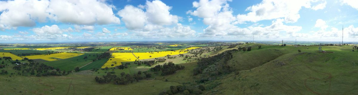 4DVirtualFarm's tweet photo. @AgPeriUrban @jamesofbright @FionaLakeAus @roseycatherine @GlencliffeDairy @Warwick_Long Walked about 29,000 steps around #Dookie today. Wonder if I am hidden at ground level, although never saw a balloon, maybe wrong side of #MtMajor Absolutely stunning day. Part of a 360 view from yesterday courtesy of @ATAerial https://t.co/IqpXLx71xK