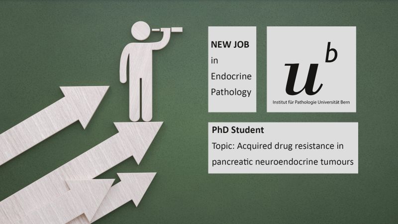 igmp_unibern's tweet photo. We are seeking a motivated PhD student in our research group for Endocrine Pathology @ifp_unibe
#PhD #pathology #research #HIRINGNOW
More information: https://t.co/AA9UY6M3cG https://t.co/lkuciqTl1x