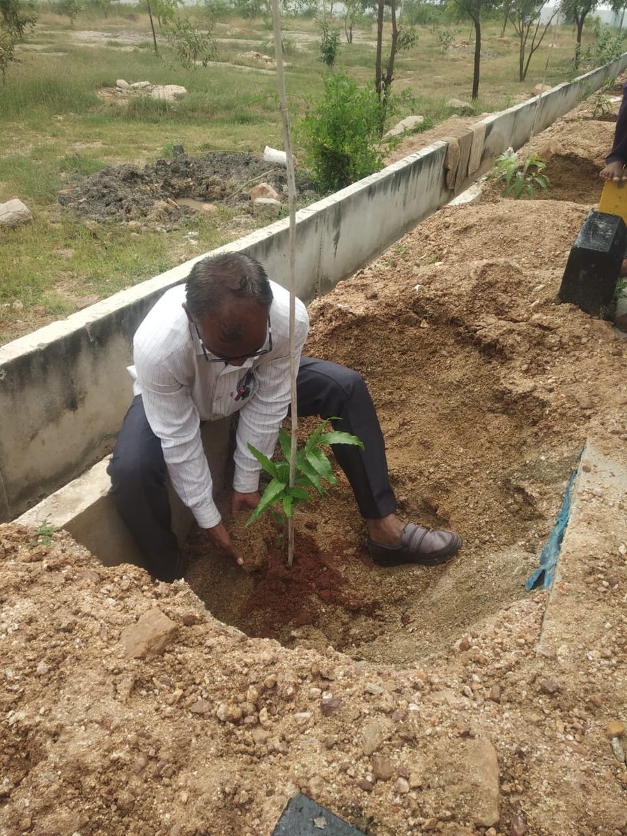 igrsMallat651's tweet photo. Planted 250 different plants around the school campus
@Captain_Mani72 
@SWDGok 
@kreisemahithi https://t.co/qM083x4f3x