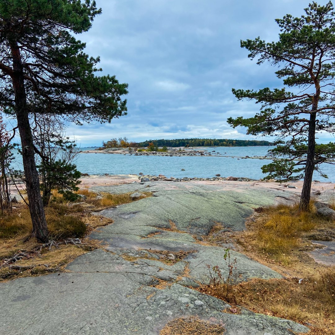 HelFreebike's tweet photo. Tänään vietetään Kansainvälistä auton vapaapäivää! 🌍 💚🚴‍♀️

Tänään on siis täydellinen päivä taittaa työ- tai koulumatka jalan, pyöräillen tai vaikka skeitaten, tyyli on vapaa! 🛹

Freebike-sähköpyörän saat käyttöösi helposti, ilman sovellusta, maksa lähimaksulla ja aja! ⚡ https://t.co/5k8Pa9bDzJ