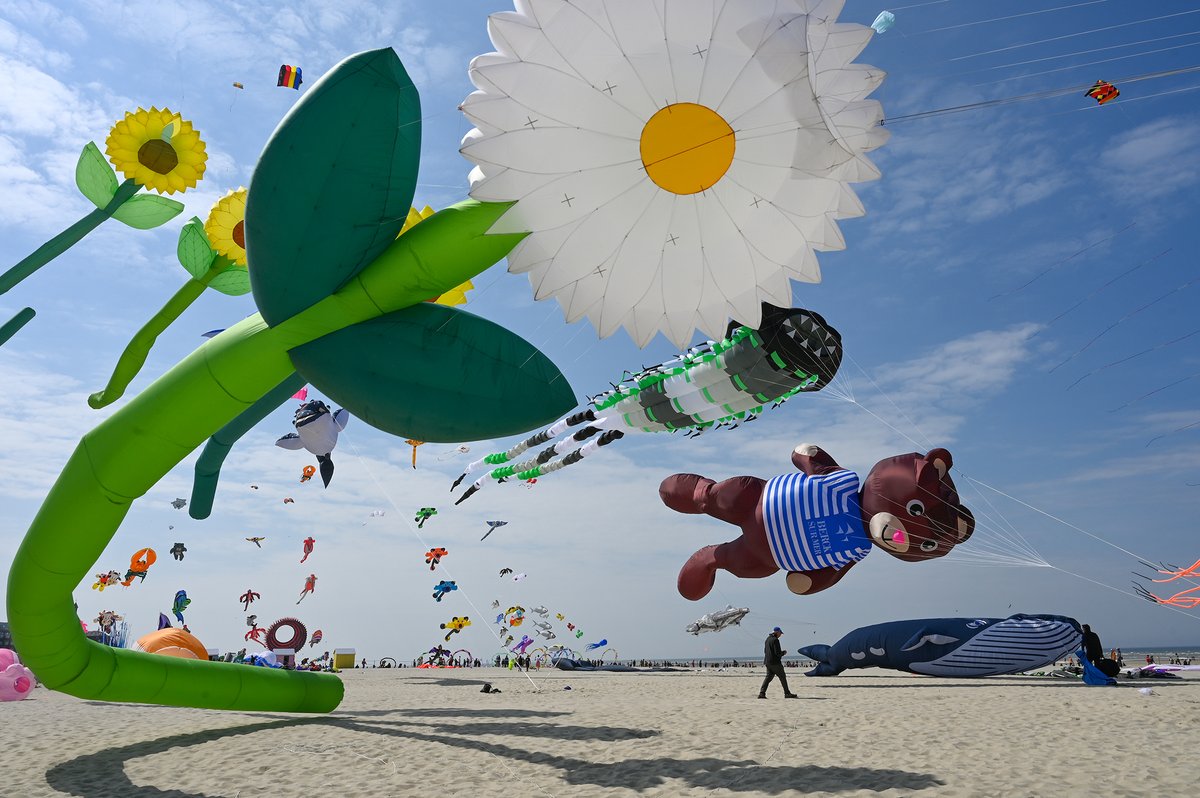 Cerfs-Volants Berck-sur-Mer tweet media