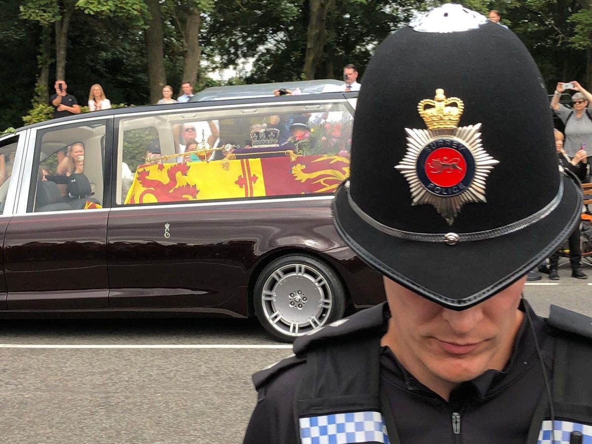 Nev Kemp tweet media