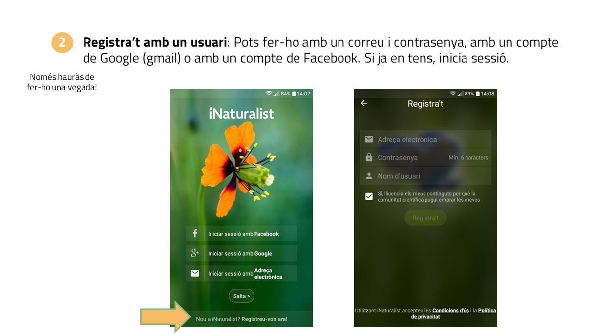 RitmeNatura tweet media