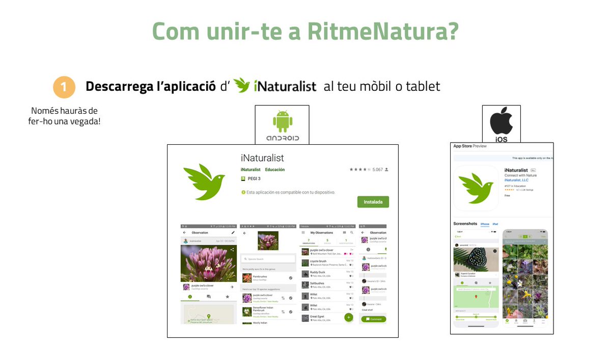 RitmeNatura tweet media