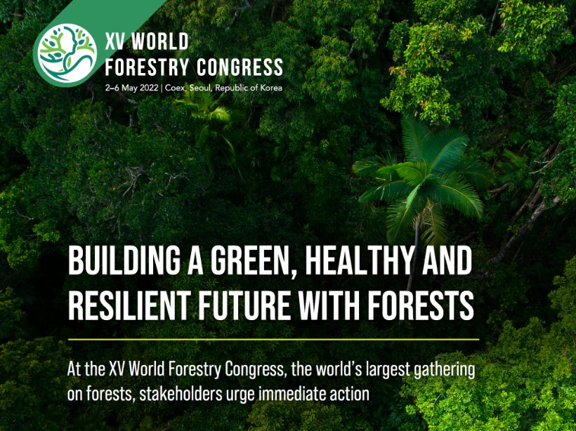 Increasing the transparency of forest data is fundamental for implementing the #ParisAgreement 
bit.ly/3SbssgQ
#ClimateAction #BetterWithForests