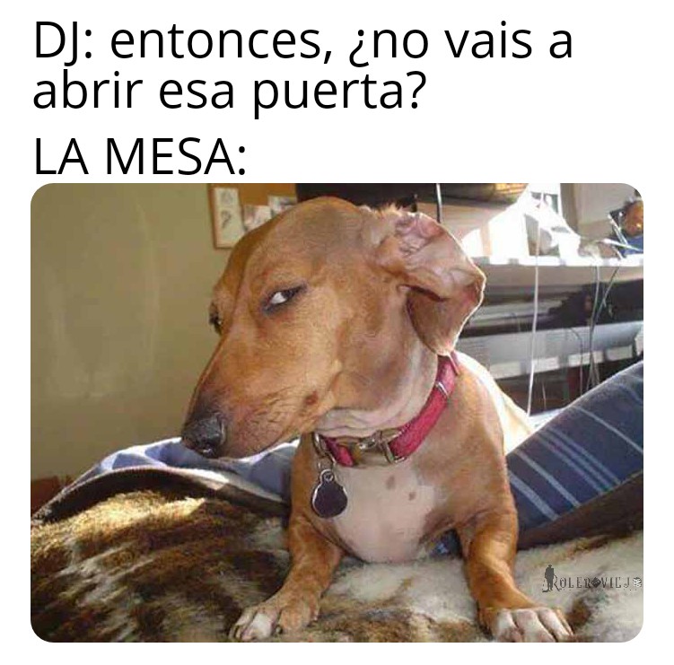 RoleroViejo's tweet photo. ¿Eh? ¿De verdad que no?
#juegosderol #memeRolero https://t.co/lgAEIj7vCo